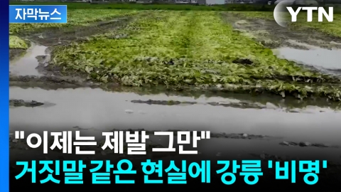 [자막뉴스] 가뭄 끝나자마자...급변한 상황에 강릉 '초토화'
