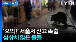 예사롭지 않은 추이...서울시, 팔 걷어붙였다 [지금이뉴스] 