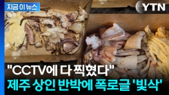 "불쇼 하면서 빼돌려?"... 올레시장 \'철판오징어 바가지\' 폭로글 반전 [지금이뉴스]