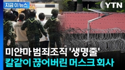 범죄단지 급습하자 곳곳에 스타링크...\'\'사용불가\' 만든 스페이스X [지금이뉴스]