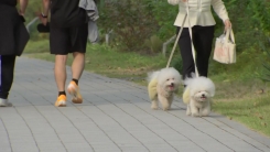 밤부터 기온 뚝...경기·강원·충북·경북 곳곳 올가을 첫 한파특보