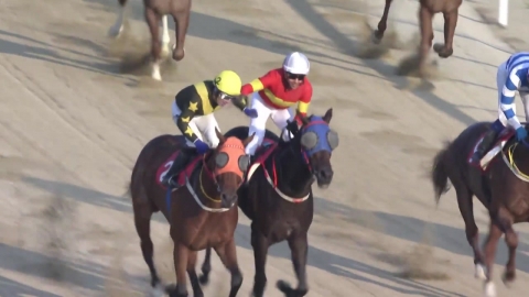 [주간 경마] 문학보이, 이제는 단거리 '최강보이'