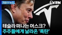 "머스크 무조건 붙잡아야 해" 천문학적 금액 제시한 테슬라 이사회 [지금이뉴스]