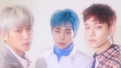 SM에 정산금 청구 소송 낸 첸백시…"엑소 완전체 바란다"