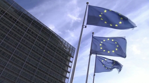 \'미 관세\'에 이은 \'EU 기술규제\'…공동 해법 모색