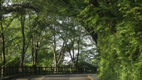 "호기심에"…서울숲 산책로에 불 지른 러시아 관광객 \'집유\'