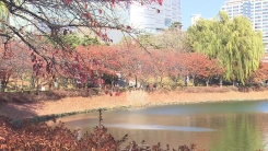 [날씨] 일교차 큰 가을, APEC 경주 낮 19℃...출근길 '짙은 안개' 유의