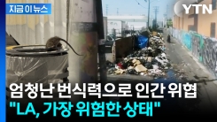 마약에 무너진 LA의 새로운 \'오명\'...떼거지로 폭발적 \'급증\' [지금이뉴스]