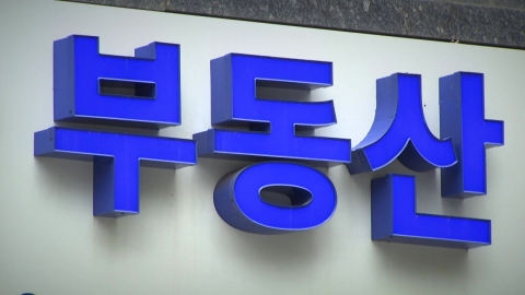 \'부동산 감독기구\' 내년 출범…\'빅브라더\' 우려 불식시킬까