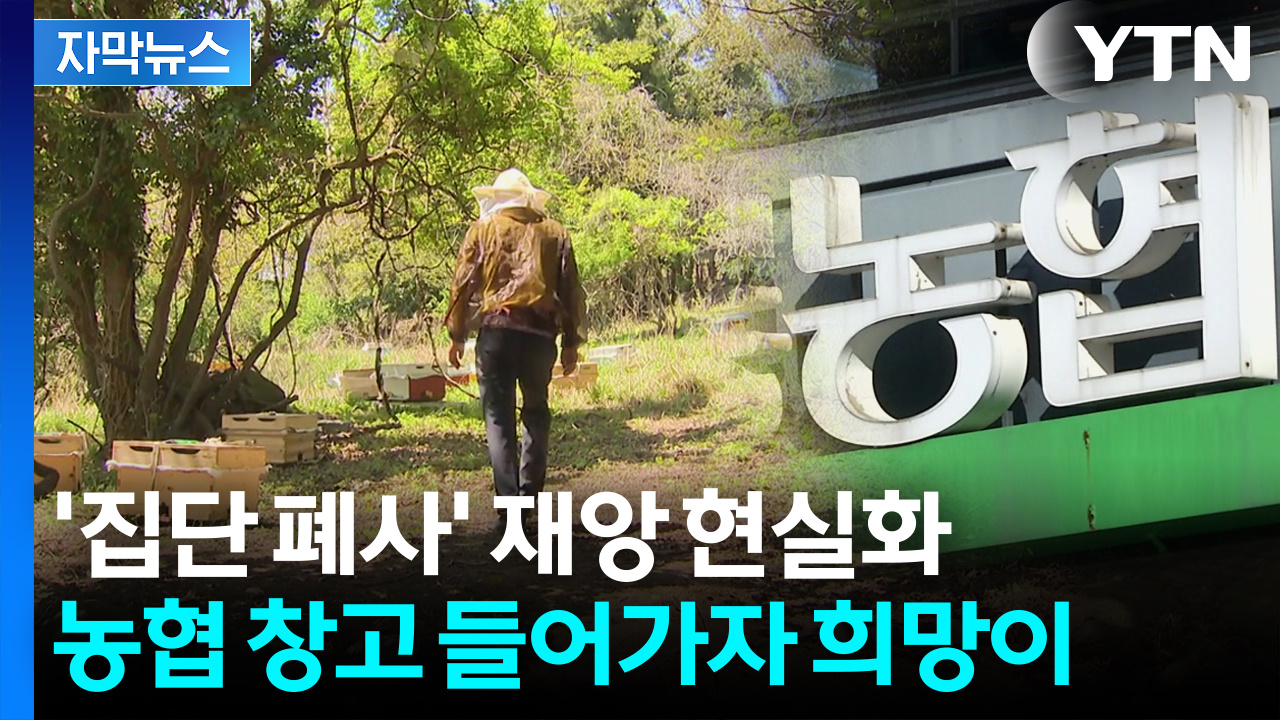 [자막뉴스] 매우 이례적인 일...'비상사태' 직접 나선 농협