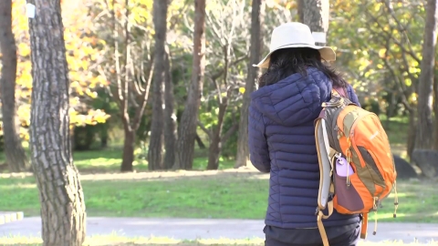 [날씨] 서울 올가을 첫 한파특보…내일 \'초겨울 추위\'