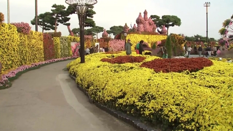 가을빛 물든 휴일…꽃·바다·빵 향기 가득