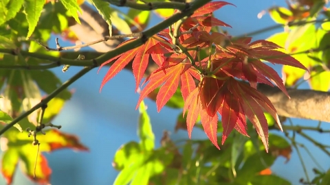 [날씨] 쌀쌀한 출근길, 낮부터 계절 제자리…완연한 가을