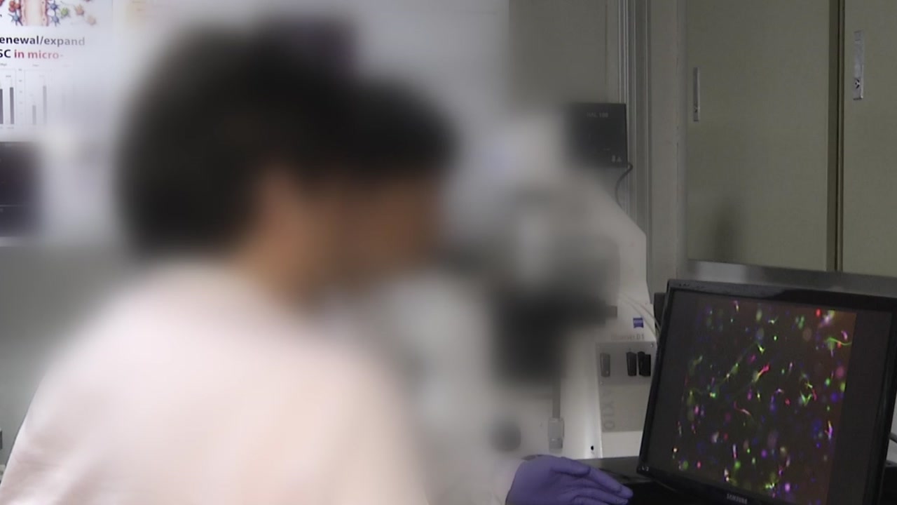 "그냥 해외 가서 살겠다"...이공계 인력 줄줄이 '한국 탈출'