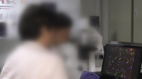 "그냥 해외 가서 살겠다"…이공계 인력 줄줄이 \'한국 탈출\'