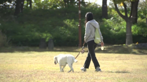 [날씨] 해 뜨자 안개 \'싹\', 낮엔 포근…밤사이 미세먼지 \'나쁨\'