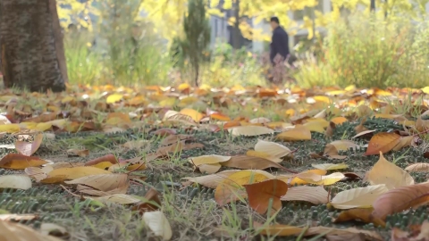 [날씨] 내일도 \'일교차 큰 늦가을\'…중서부 곳곳 공기 탁해