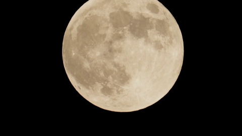 오늘 밤 6년 만의 \'슈퍼문\'…밤 10시 19분 가장 둥글다