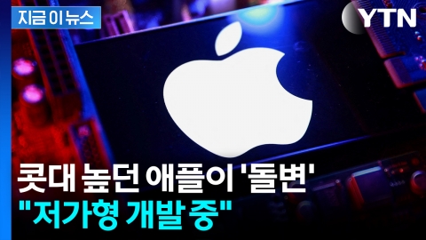 저가형 안 만든다더니...위기감 느낀 애플 '태세 전환' [지금이뉴스]