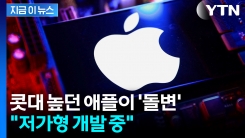 저가형 안 만든다더니...위기감 느낀 애플 \'태세 전환\' [지금이뉴스]