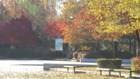 [날씨] 예년보다 온화, 한낮 20℃ 안팎…일교차·초미세먼지 주의