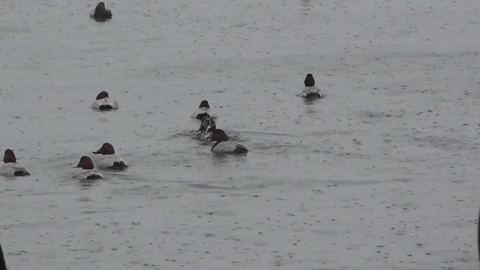 [날씨] 주말 밤사이 가을비…수능일 강추위 없지만 일교차 커