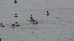 [날씨] 주말 밤사이 가을비...수능일 강추위 없지만 일교차 커