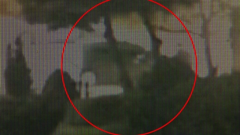 \'영차영차\'…사고로 깔린 아이에 힘 모아 차 들어 올린 시민들