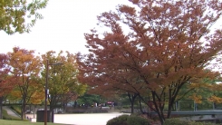 [날씨] 온화한 주말...한낮 흐리고 차츰 전국 비 조금