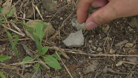 서울시 "석면 조각 모두 수거"…출처까지 확인 방침