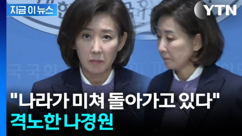 나경원 "범죄자 대통령 이재명 때문에..." 국민의힘 긴급 기자회견 [현장영상+] 
