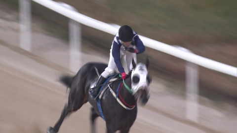 [주간 경마] '피는 못 속여'...닉스고원, 최고 혈통 이어받아 데뷔전 우승