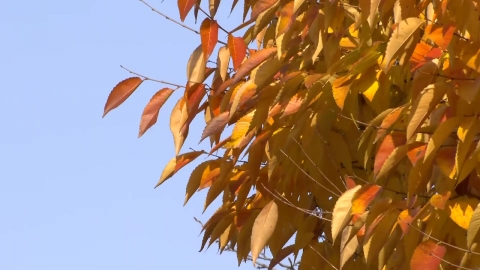 [날씨] 밤사이 기온 뚝, 초겨울 추위…낮에도 종일 쌀쌀