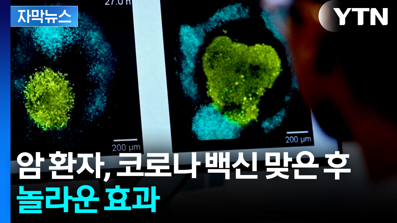 [자막뉴스] 코로나 백신, 암 환자에게 뜻밖의 효과...대규모 임상 시험 계획