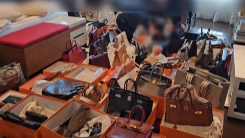 \'에르메스 60점·캐리어 속 현금 4억\' 압류…고액·상습체납 \'합동수색\'