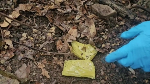 낚시터에 사찰까지…\'마약 던지기\' 120명 검거