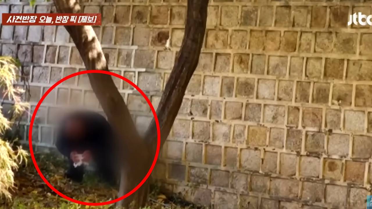 중국인 추정 관광객들, 경복궁 돌담 아래서 '대소변' 파문