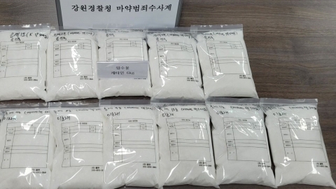 \'신체에 숨겨 공항·세관 통과\'…유럽에서 마약 밀반입