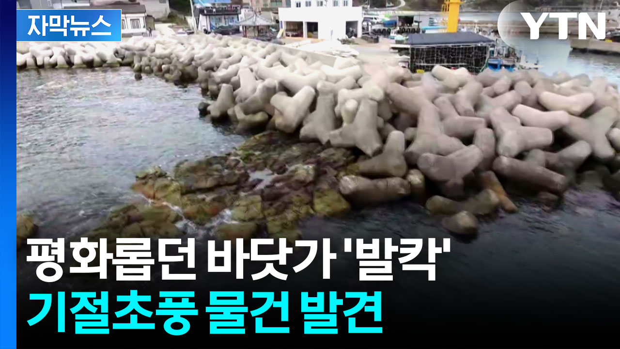 [자막뉴스] '중국산 차' 포장지 뜯었더니...해안가에 무슨 일이?