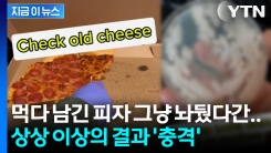 남긴 피자, 다음 날엔 어떨까?...미생물학자가 보여준 충격 결과 [지금이뉴스]