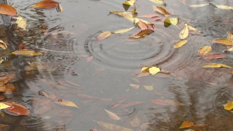 [날씨] 일요일 비 뒤 또 강추위…서울 영하권·서쪽 첫눈 가능성