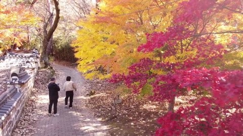 [날씨] 주말, 완연한 늦가을…강원 동해안 \'건조주의보\'