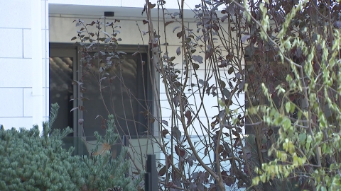 나나 집에 흉기 든 강도 침입…모녀가 강도 제압