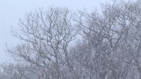 [날씨] 이번 주엔 \'영하권 강추위\'…겨울까지 \'롤러코스터 날씨\'