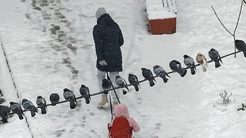 겨울 앞둔 우크라이나, 그리스와 가스 공급 협정