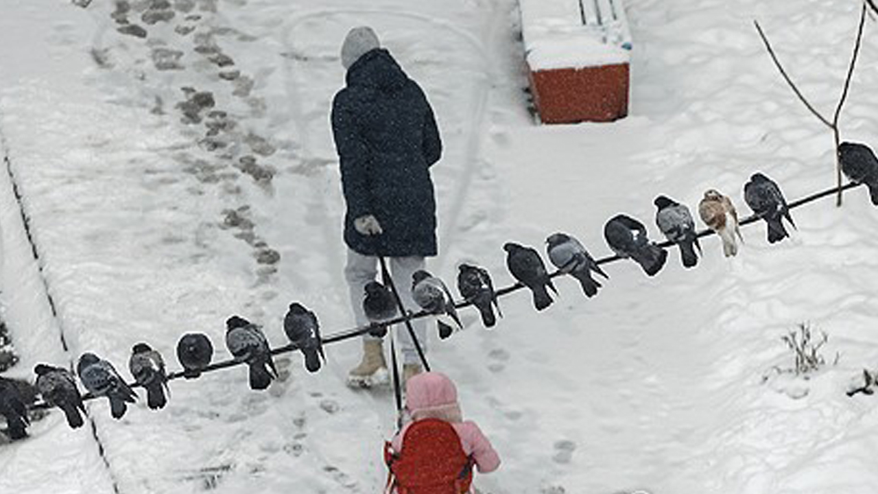 겨울 앞둔 우크라이나, 그리스와 가스 공급 협정
