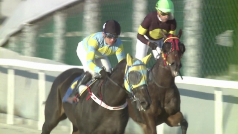 [주간 경마] 낭만적인 말 이름 짓기...'그대만있다면' 첫 결실