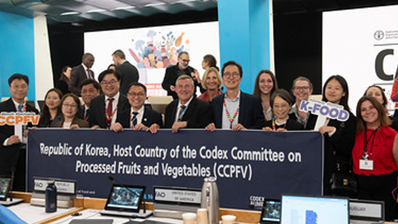 김치 세계규격에 '김치캐비지' 포함...'종주국' 위상 높인다