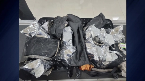 \'클럽 마약\' 적발 7배 급증…마약조직 표적 된 한국