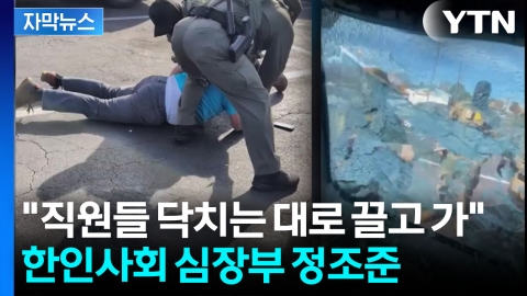 [자막뉴스] "미국 시민권자예요!" 애원했지만...무자비 단속에 한인사회 공포